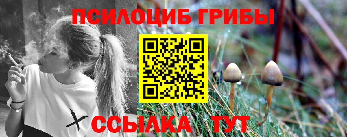Галлюциногенные грибы прущие грибы Янаул